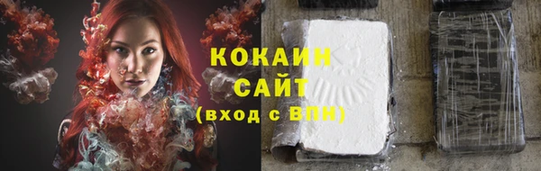 ECSTASY Богородск