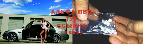 ECSTASY Богородск