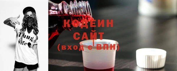 ECSTASY Богородск