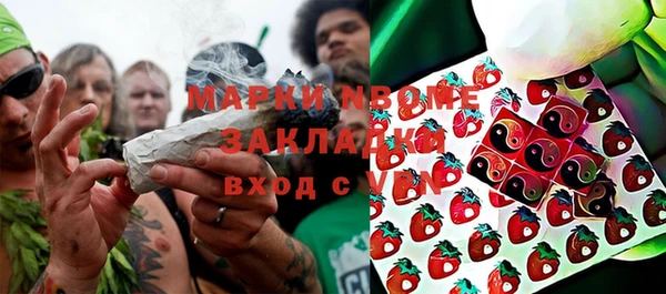 ГАЛЛЮЦИНОГЕННЫЕ ГРИБЫ Бородино
