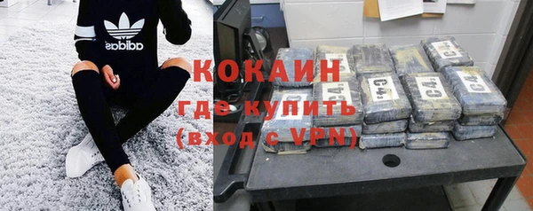 ГАЛЛЮЦИНОГЕННЫЕ ГРИБЫ Бородино