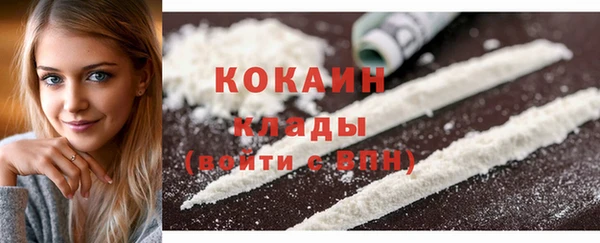 ГАЛЛЮЦИНОГЕННЫЕ ГРИБЫ Бородино