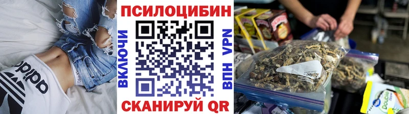 Псилоцибиновые грибы мицелий  Вяземский 